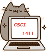 CSCI 1411